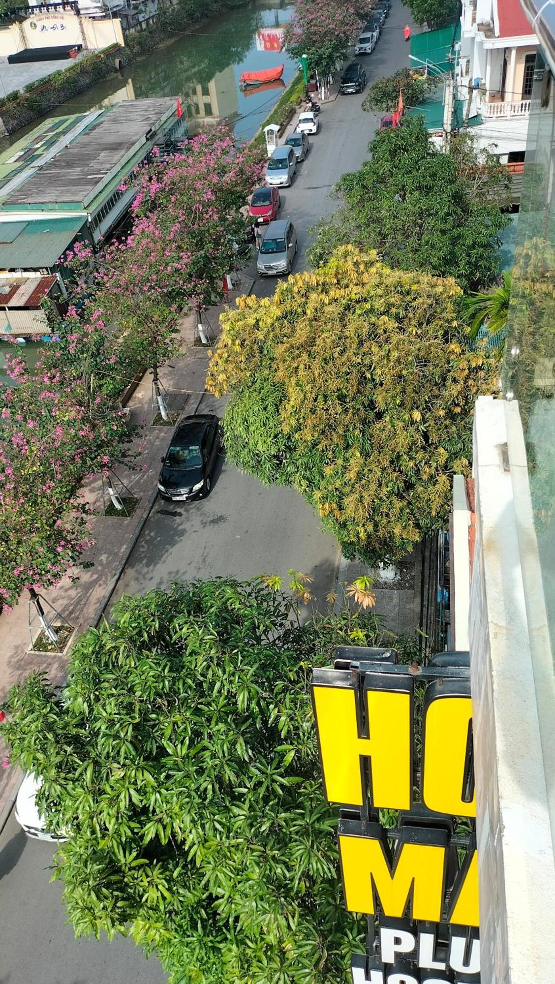 Hoa Mai Plus Hostel Dong Hoi Exterior photo